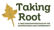 TAKING ROOT - A TREE DONATION PROGRAM